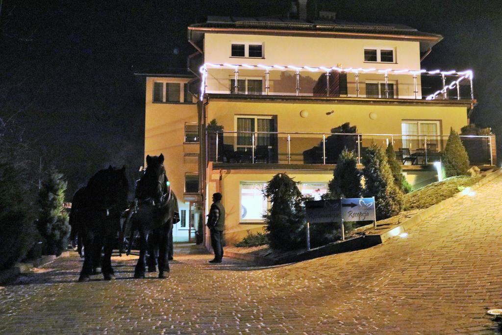 Willa Pod Skrzydlami Hotell Międzybrodzie Bialskie Exteriör bild